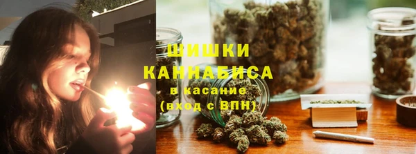 твердый Верхний Тагил